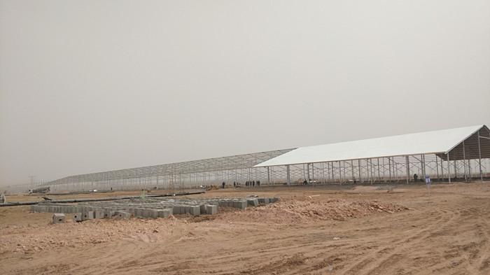 1554186586315532.jpg 1132130221.jpg